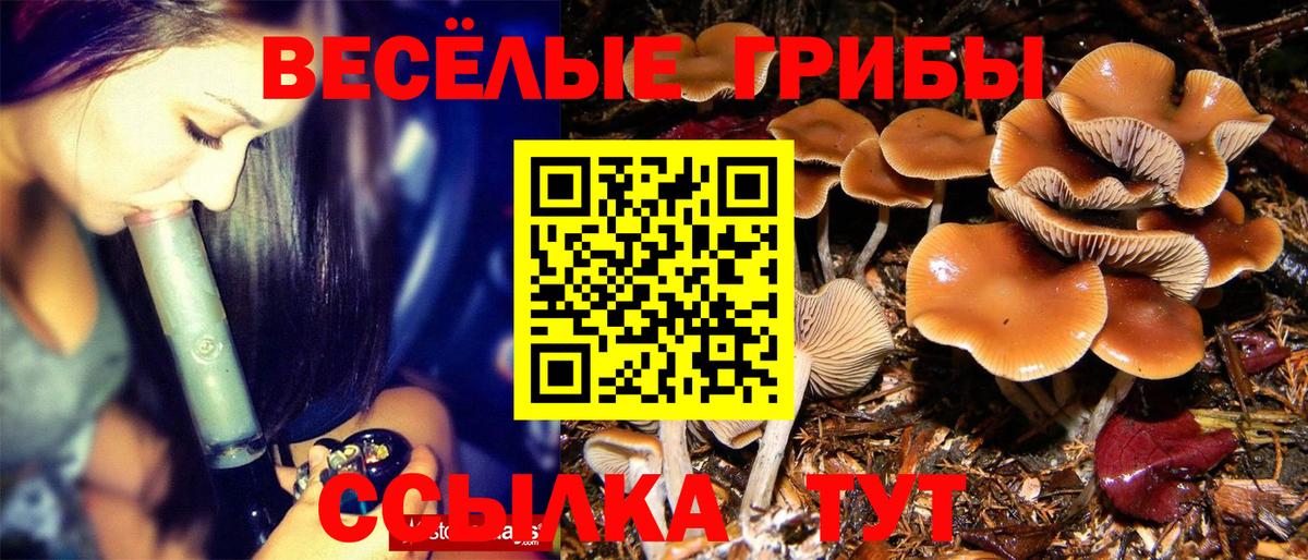 Галлюциногенные грибы мухоморы Губаха