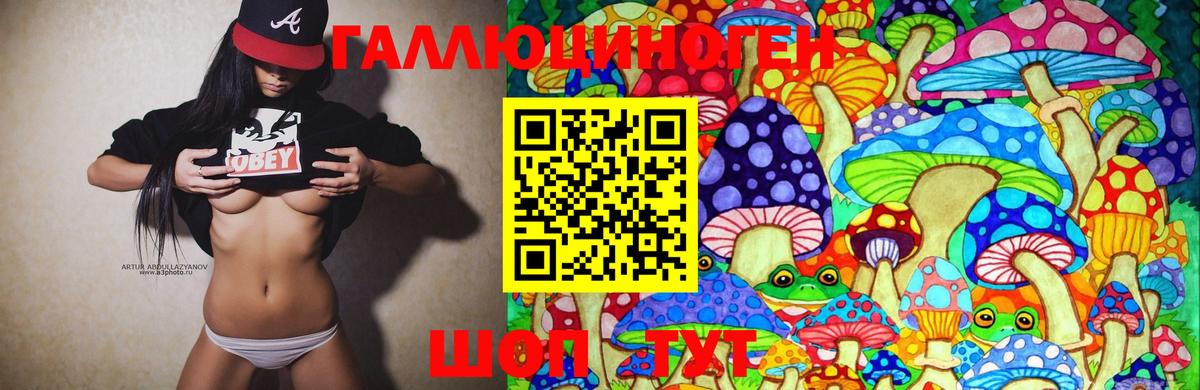 Псилоцибиновые грибы Psilocybe  Вход с VPN  Губаха 